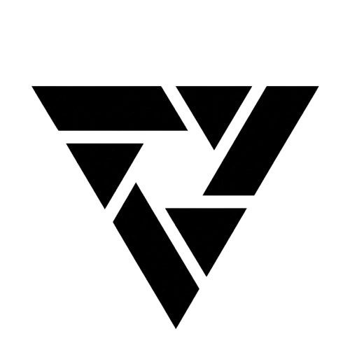 VIZU Logo